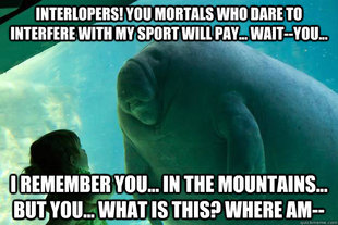 Overlord Manatee