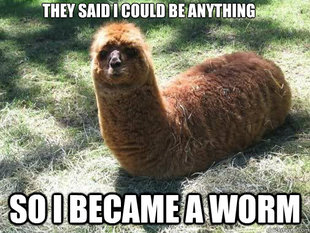 Alpacapillar