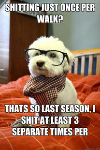Hipster Dog