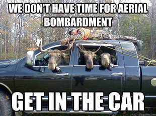GET IN THE CAR