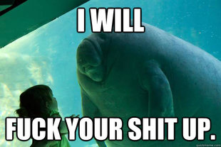 Overlord Manatee
