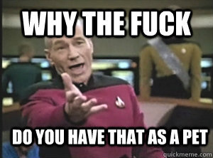 Annoyed Picard