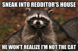 Evil Plotting Raccoon