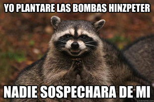 Evil Plotting Raccoon