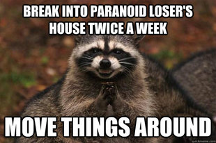 Evil Plotting Raccoon