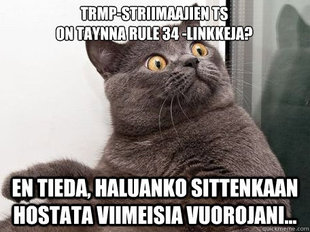 conspiracy cat