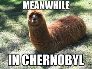 Alpacapillar