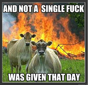 Evil cows