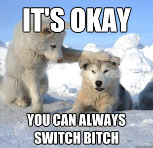 Caring Husky