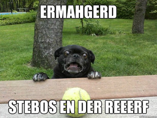 Berks Dog