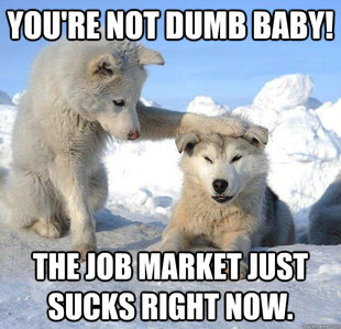Caring Husky