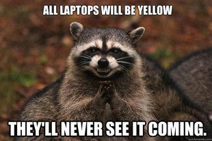 Evil Plotting Raccoon