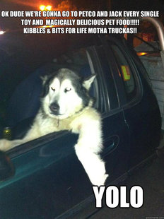Mean Dog