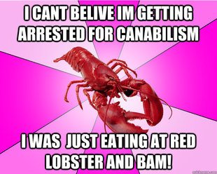 Long-term relationship Lobster