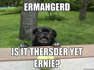 Berks Dog
