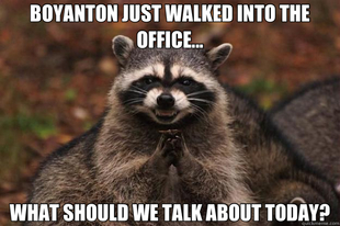 Evil Plotting Raccoon