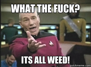 Annoyed picard about shitty watercolor and karmanaut