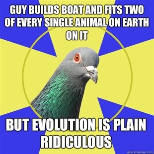 Religion Pigeon