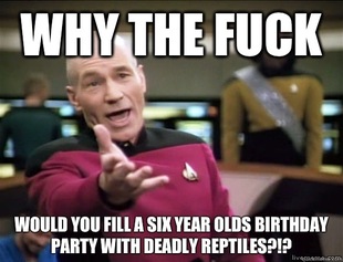 Annoyed Picard HD