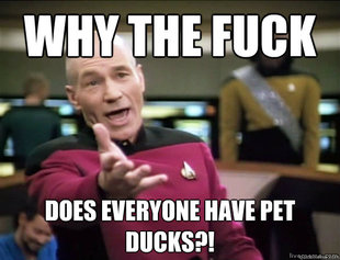 Annoyed Picard HD