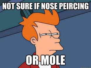 Futurama Fry