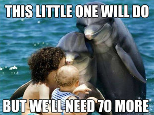 Malevolent Dolphins