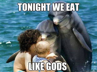 Malevolent Dolphins