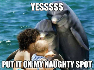 Malevolent Dolphins