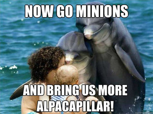 Malevolent Dolphins