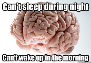 Scumbag Brain