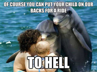 Malevolent Dolphins