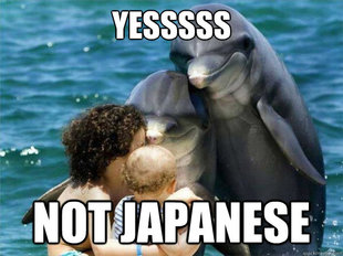 Malevolent Dolphins