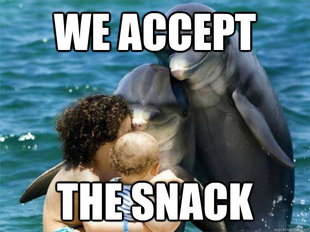 Malevolent Dolphins