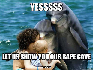 Malevolent Dolphins