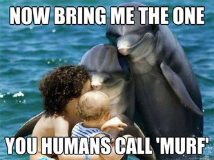 Malevolent Dolphins