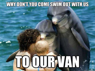 Malevolent Dolphins