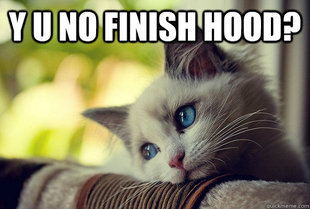 First World Cat Problems