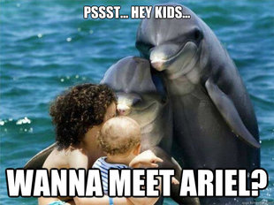 Malevolent Dolphins