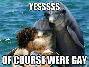 Malevolent Dolphins