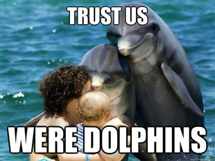 Malevolent Dolphins