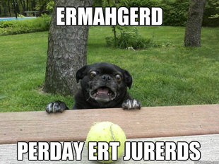 Berks Dog