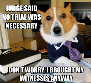 Lawyer Dog
