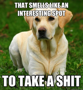Dog Logic