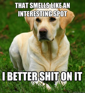 Dog Logic