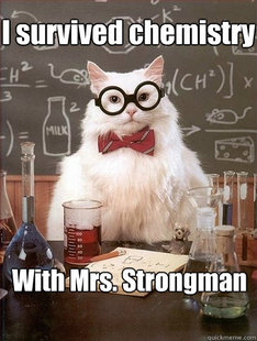 Chemistry Cat