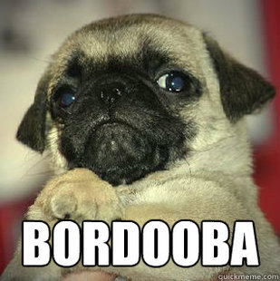 SMUG PUG
