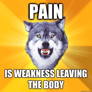 Courage Wolf