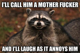 Evil Plotting Raccoon