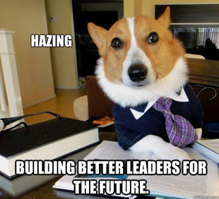 Lawyer Dog