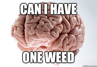Scumbag Brain